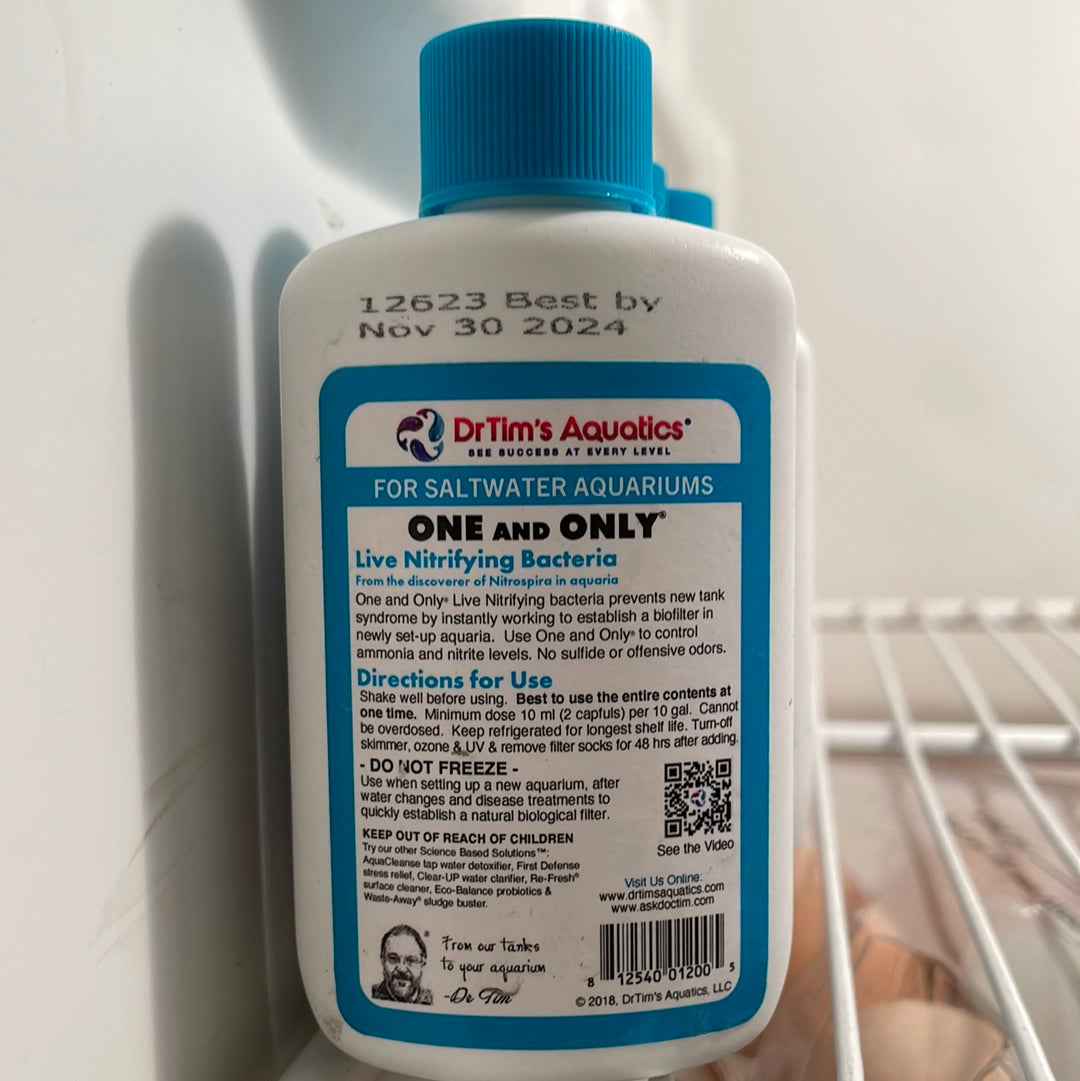 Dr Tim one and only salt water