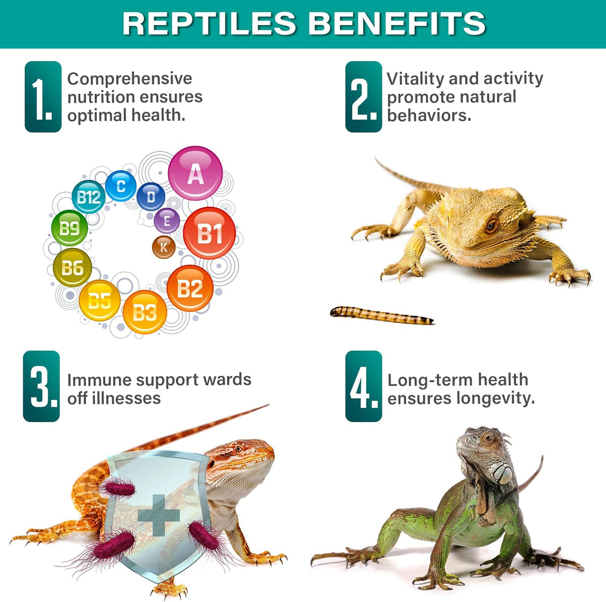 All Reptile Multi-Vitamin Supplement with Fruit by Gargeer