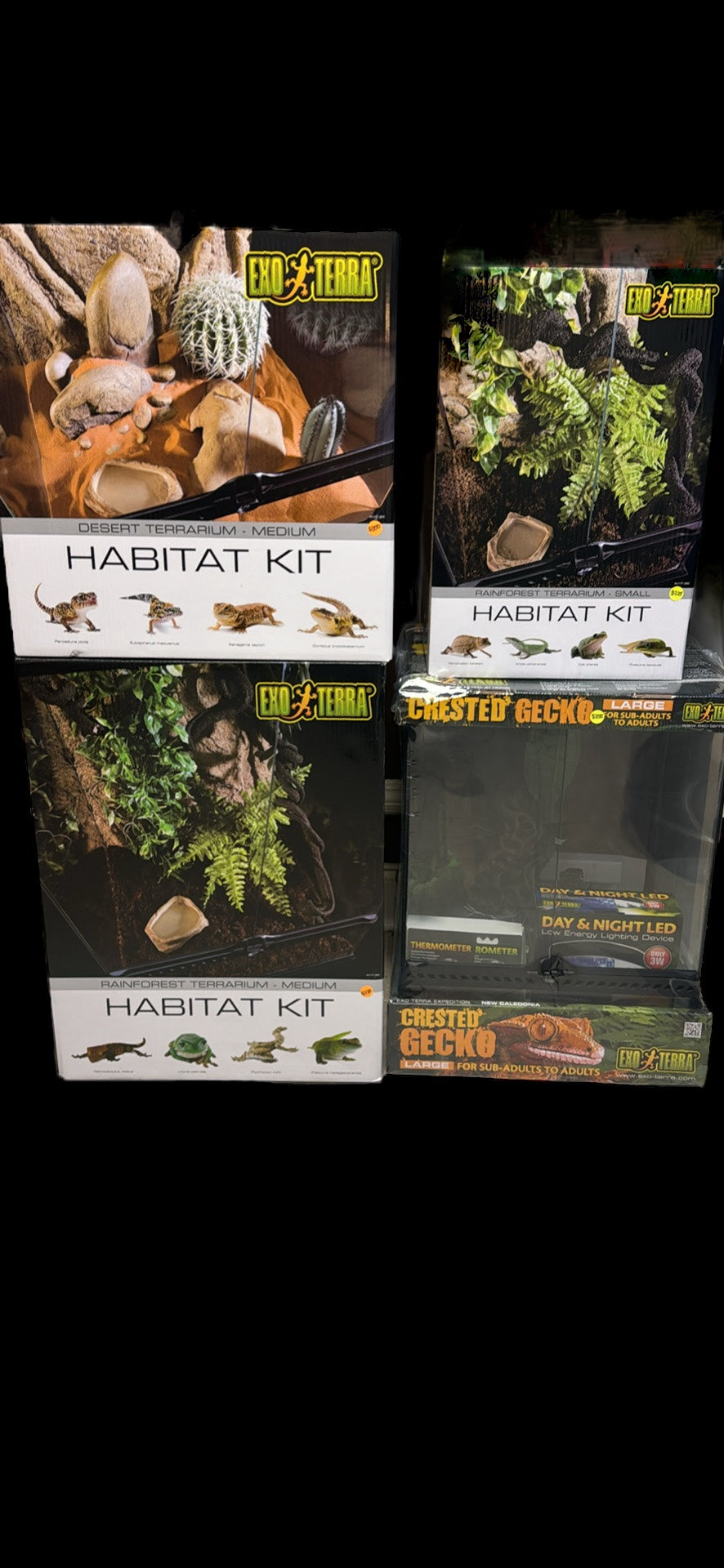 Desert and Rainforest Habitats!