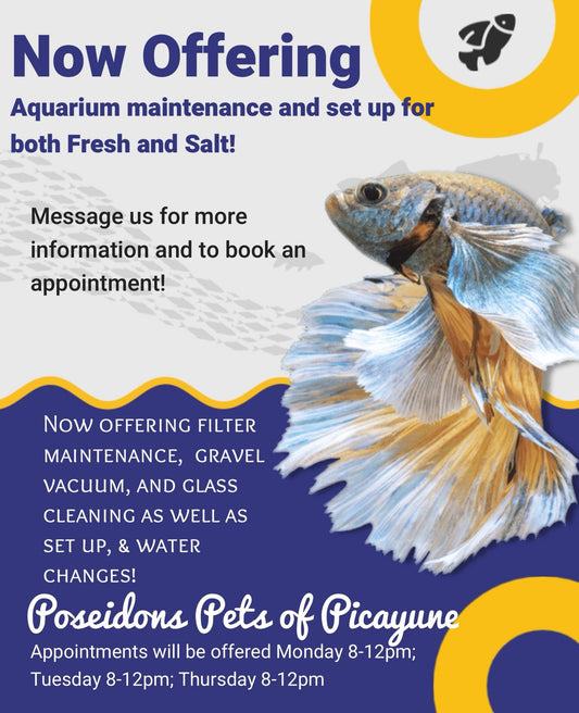 Poseidon's Pets aquarium maintenance and setup service flyer