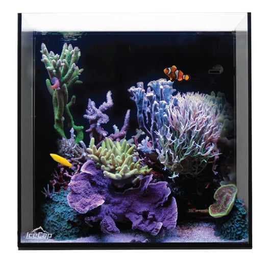 IceCap All-In-One Cube Aquarium, 20-Gallon