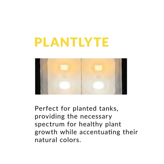 Reef Brite Lumi Lite PRO, 36" Freshwater Aquarium LED Light Strip - Plantlyte
