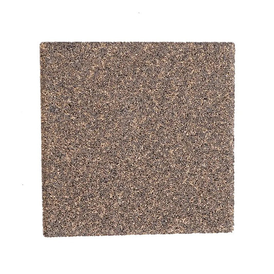 IceCap 2in Biological Coral Frag Tile (15pc)