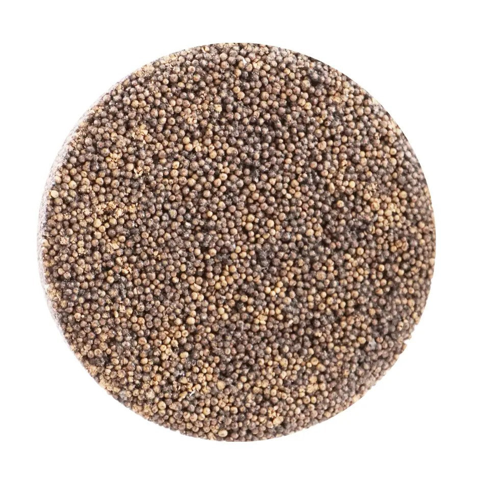 IceCap 7/8in Biological Frag Plugs with Flat Top, 25 pcs