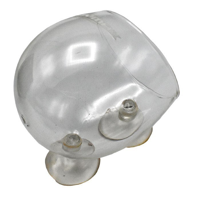 Dymax Crystal Cultivating Pot