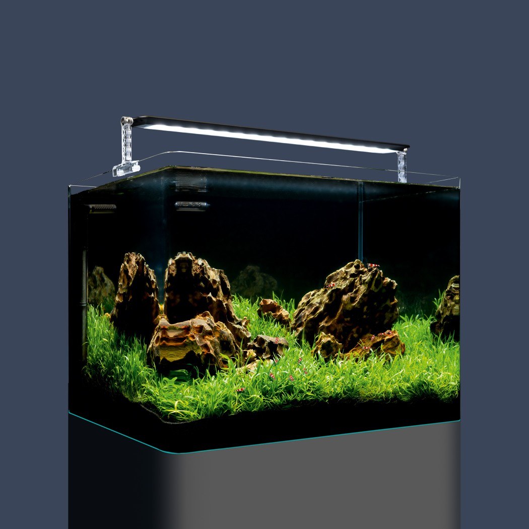 Dennerle Nano Tank Basic, 55L/14.5G