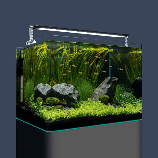 Dennerle Nano Tank Basic, 70L/18.5G