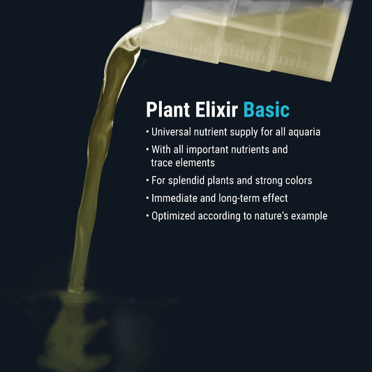 Dennerle Plant Elixir Basic, 250 ml