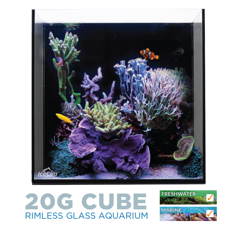 IceCap All-In-One Cube Aquarium, 20-Gallon