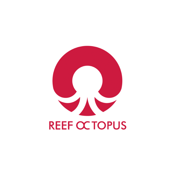 Reef Octopus