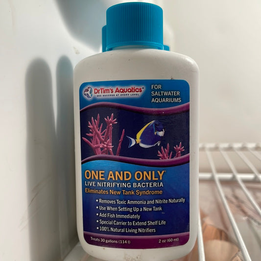 Dr Tim one and only salt water