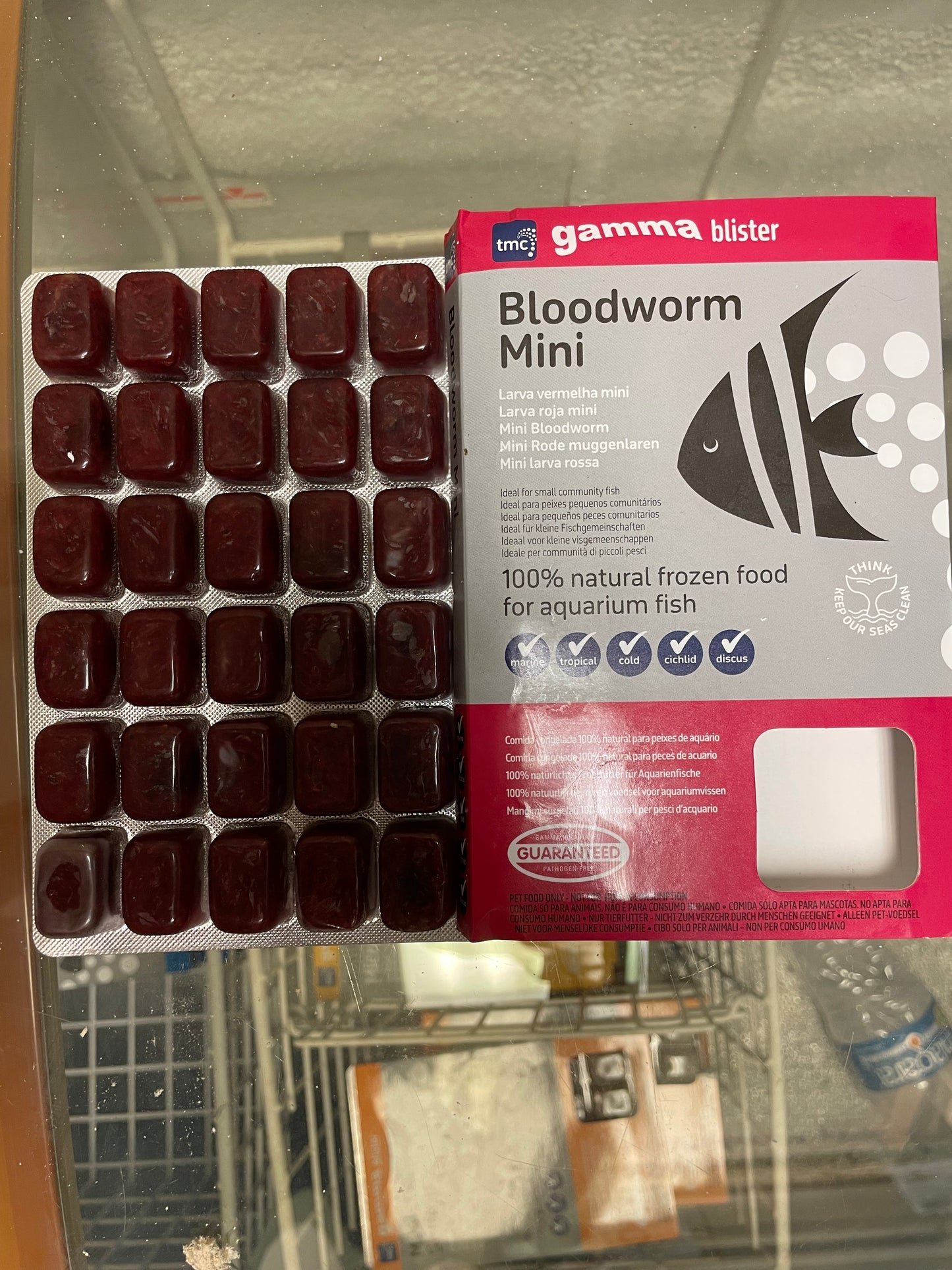 Bloodworm Mini Cube