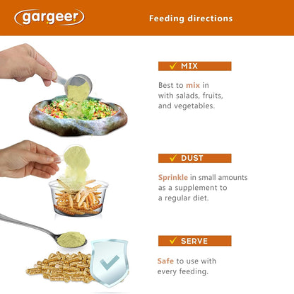 Bearded Dragon Salad Topper by Gargeer