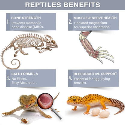 Magnesium & Calcium Supplement For Reptiles by Gargeer