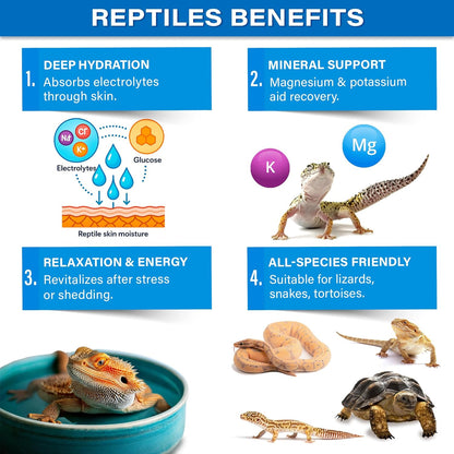 ReptiSoak Electrolyte Soak Powder by Gargeer