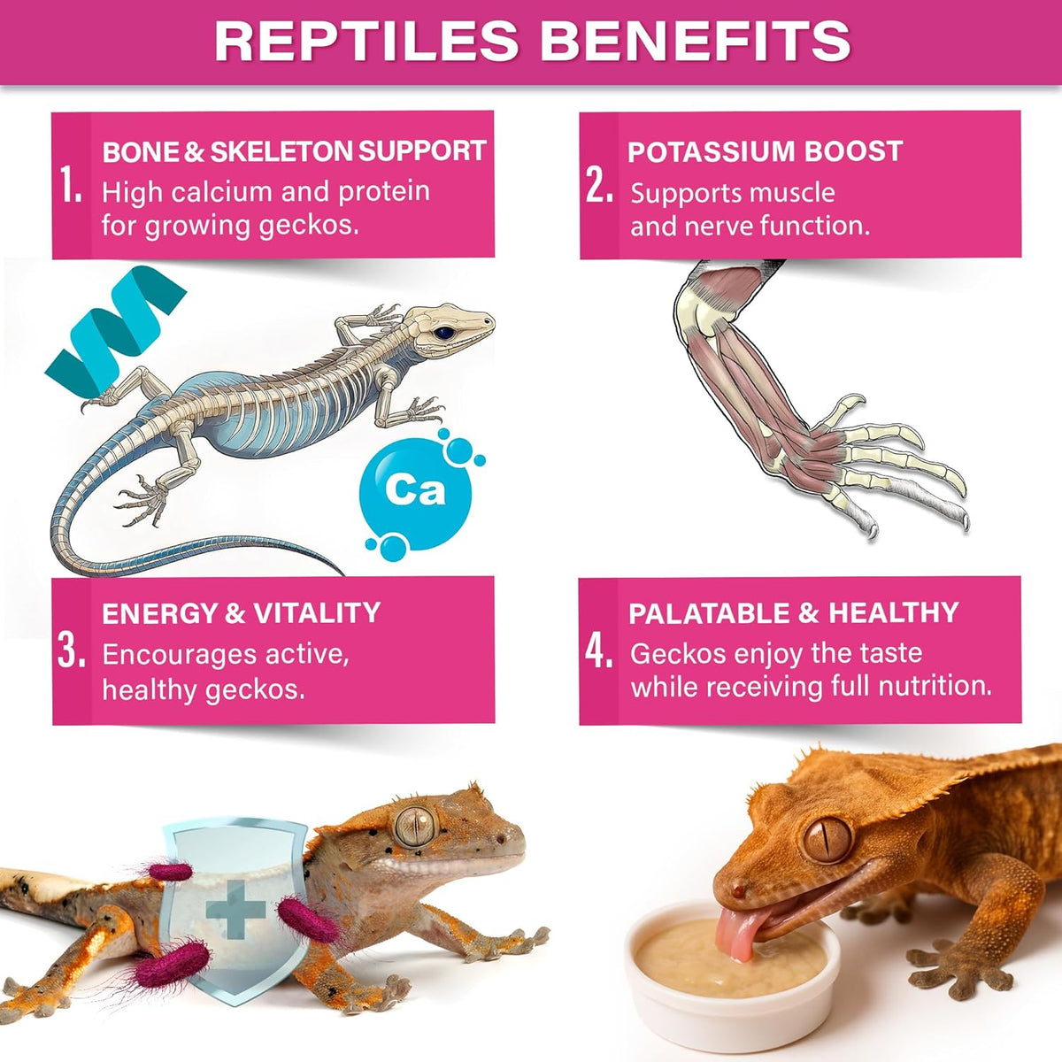 Picky Geck Growth by Gargeer