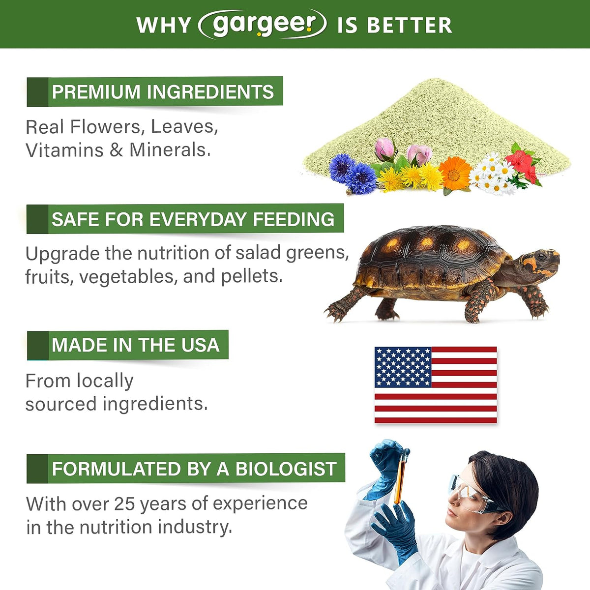 Forest Tortoise Salad Topper by Gargeer