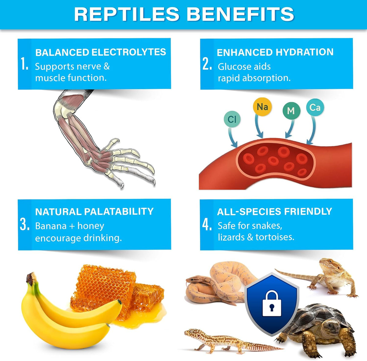 ReptiLyte Electrolyte Drink Supplement with Fruit by Gargeer