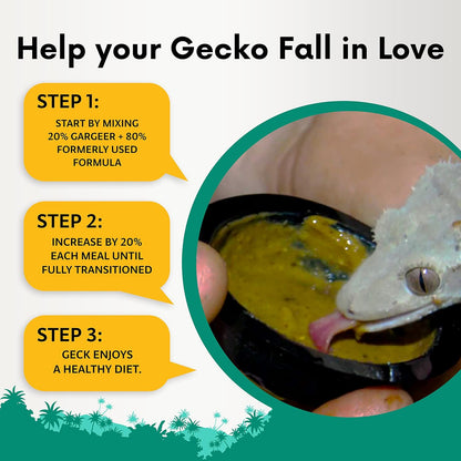 Gentle Geck Fruit Blend by Gargeer
