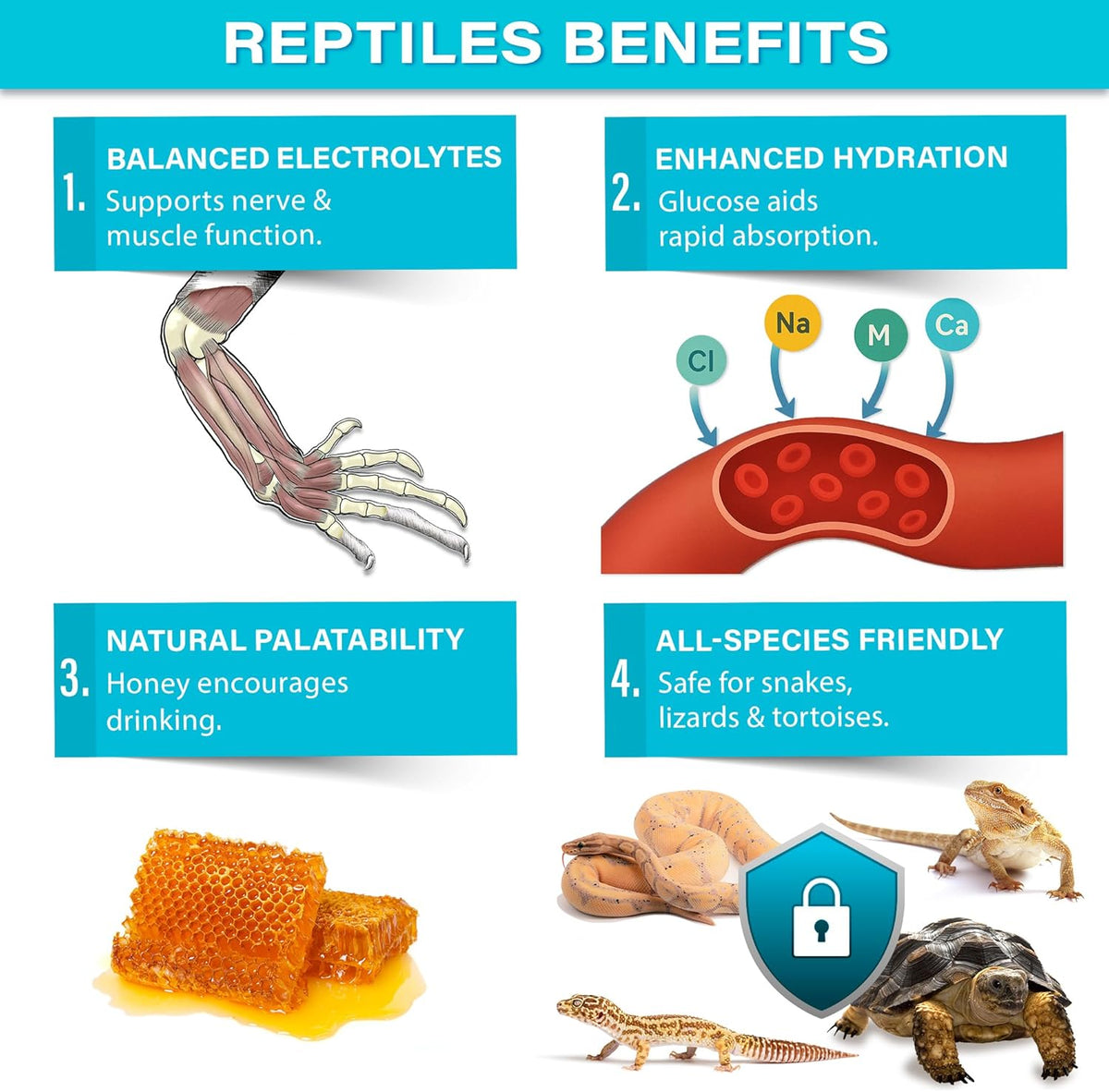 ReptiLyte Premium Electrolyte Drink Supplement by Gargeer