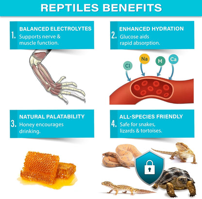 ReptiLyte Premium Electrolyte Drink Supplement by Gargeer