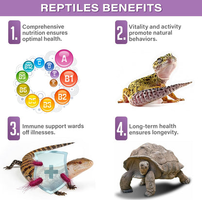 All Reptile Multi-Vitamin Supplement by Gargeer