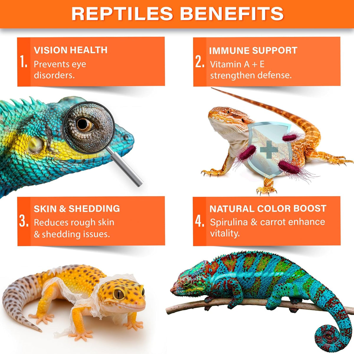 Vitamin A Plus Supplement for Reptiles by Gargeer