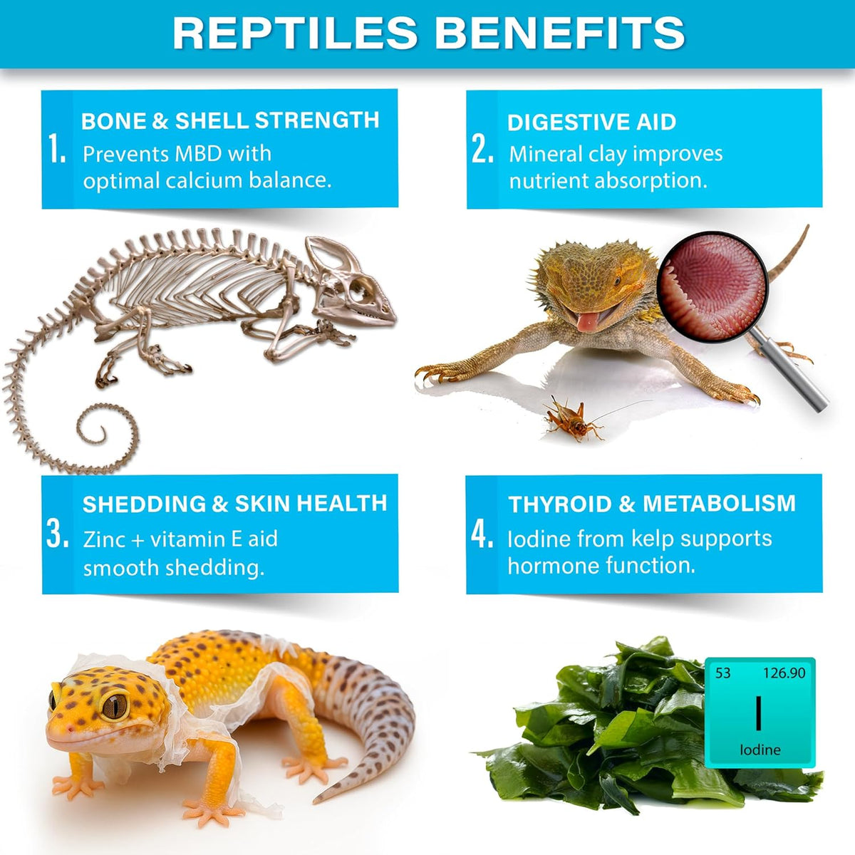 Complete Minerals Plus All Reptile Supplement by Gargeer