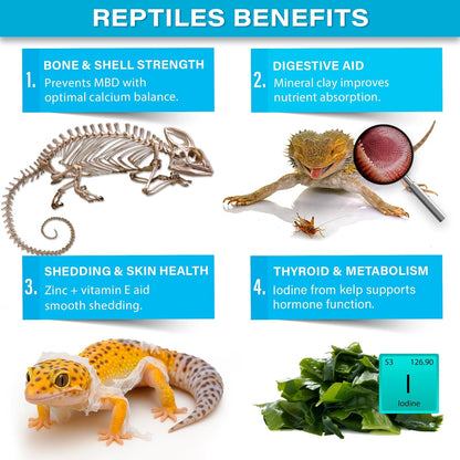 Complete Minerals Plus All Reptile Supplement by Gargeer