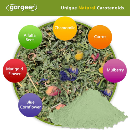 Reptile Color Enhancer by Gargeer