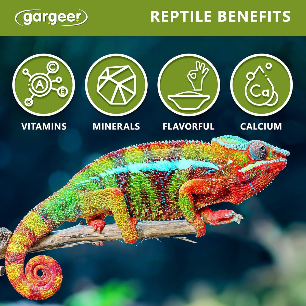 Reptile Color Enhancer by Gargeer