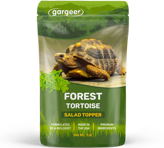 Forest Tortoise Salad Topper by Gargeer