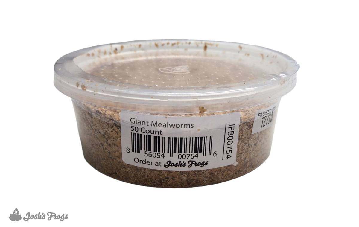 Representative photo of Live Mealworms and Giant Mealworms