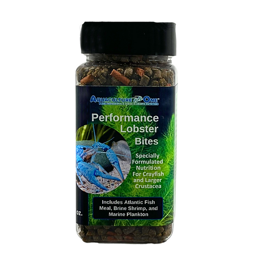 Aquaculture-One Lobster Bites
