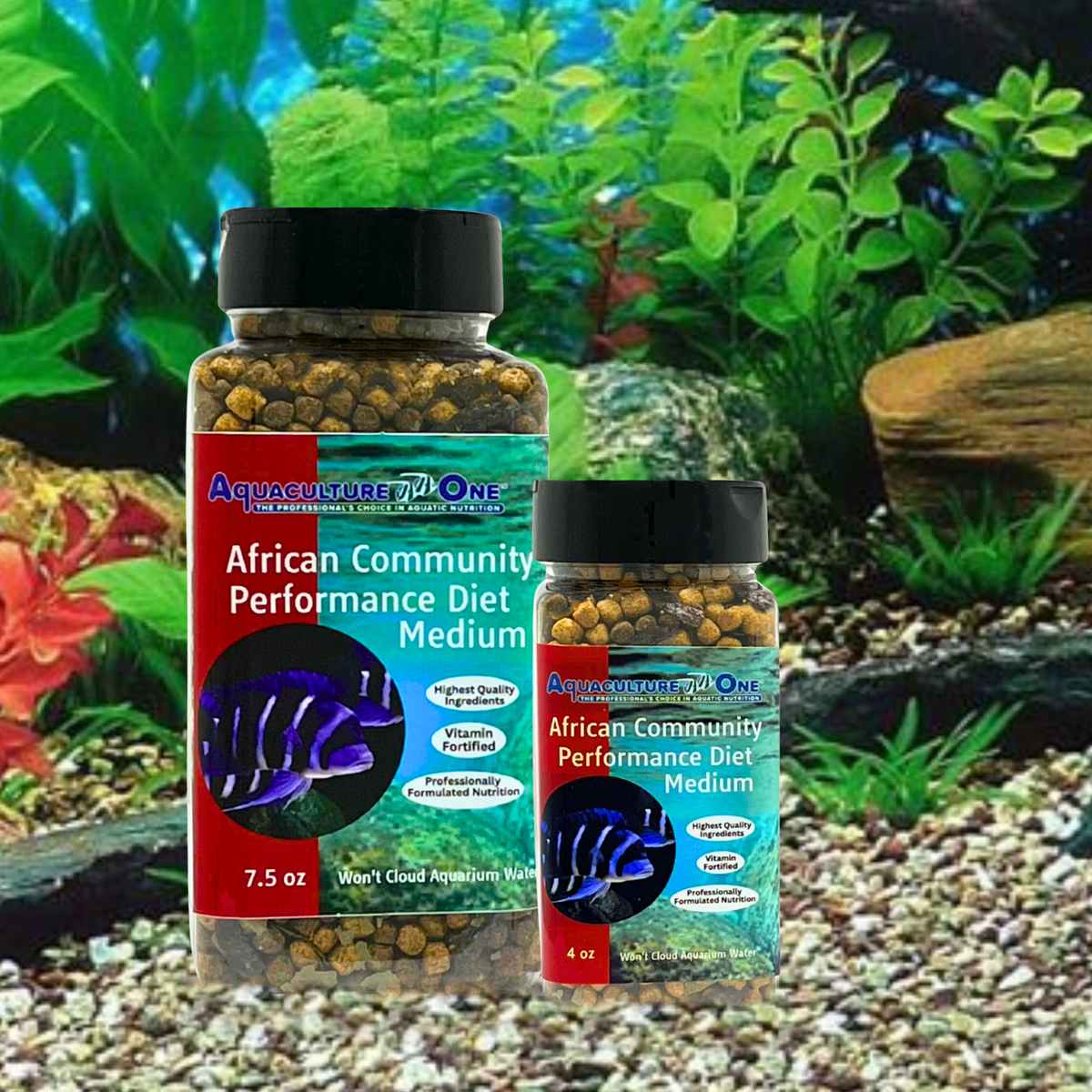 Aquaculture-One African Cichlid Performance Diet Medium
