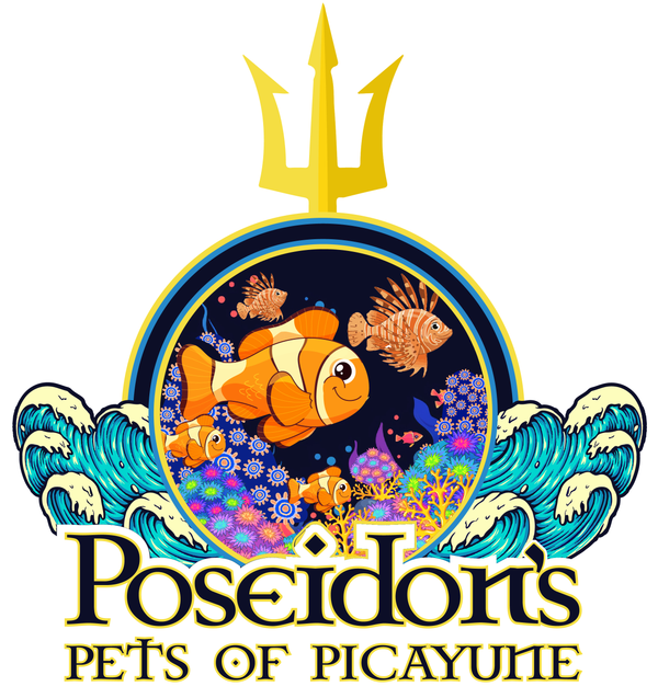 Poseidon's Pets of Picayune