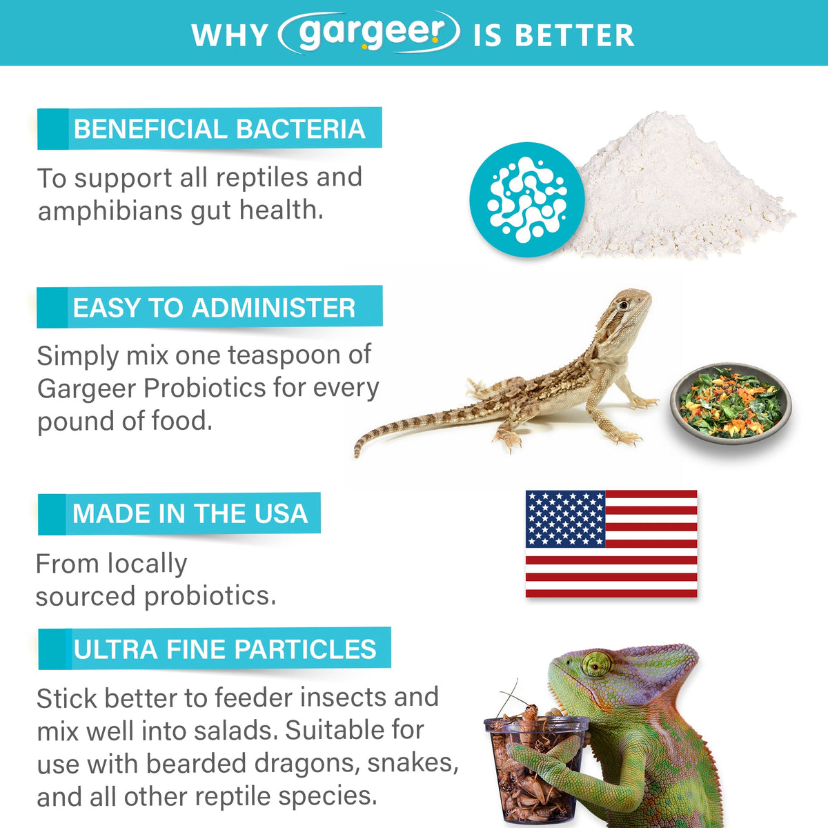 All Reptile Probiotics Supplement by Gargeer