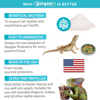 All Reptile Probiotics Supplement by Gargeer