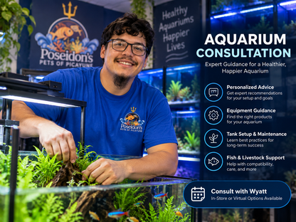 Aquarium consultation with Wyatt at Poseidon's Pets of Picayune