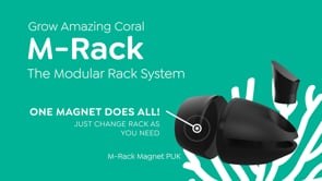 ITC Reefculture M-Rack Magnetic Puk