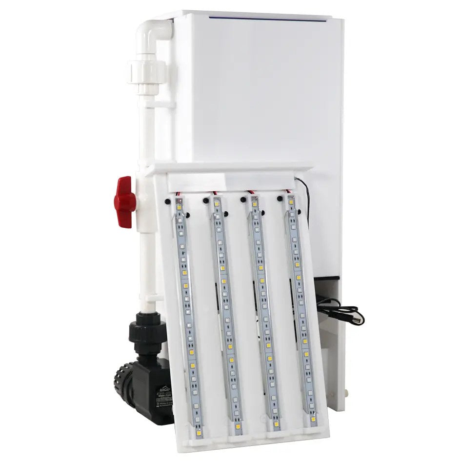 IceCap Algae Scrubber Pro, Medium