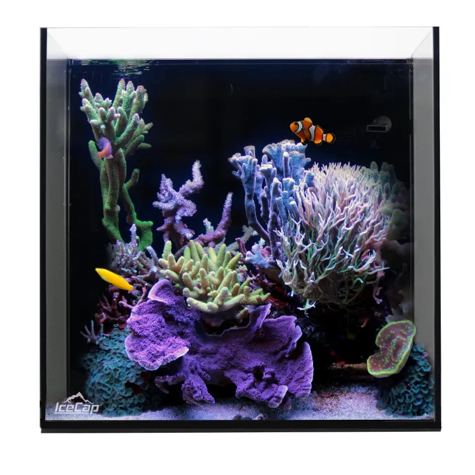 IceCap All-In-One Cube Aquarium, 10-Gallon