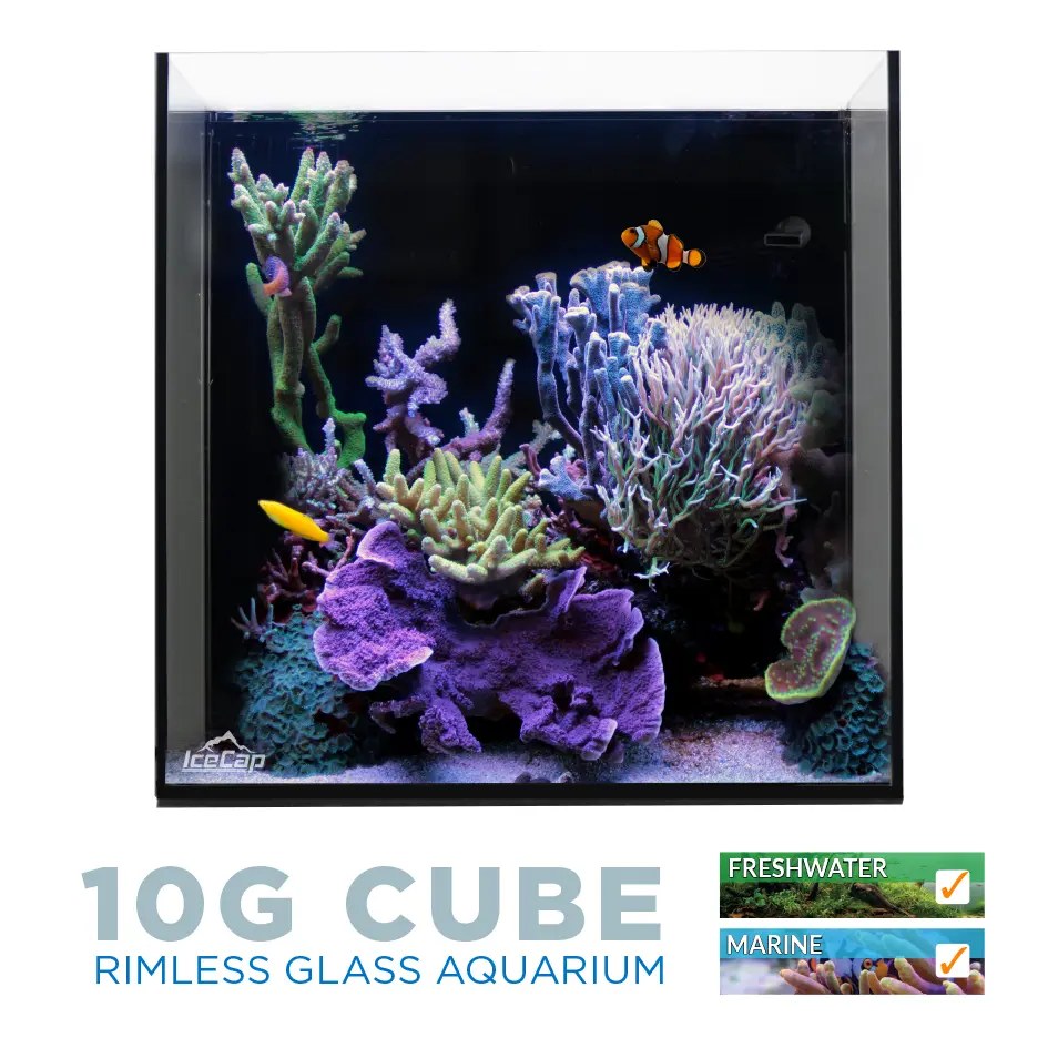 IceCap All-In-One Cube Aquarium, 10-Gallon