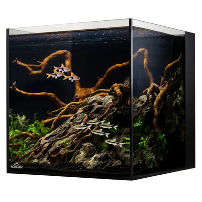 IceCap All-In-One Cube Aquarium, 10-Gallon