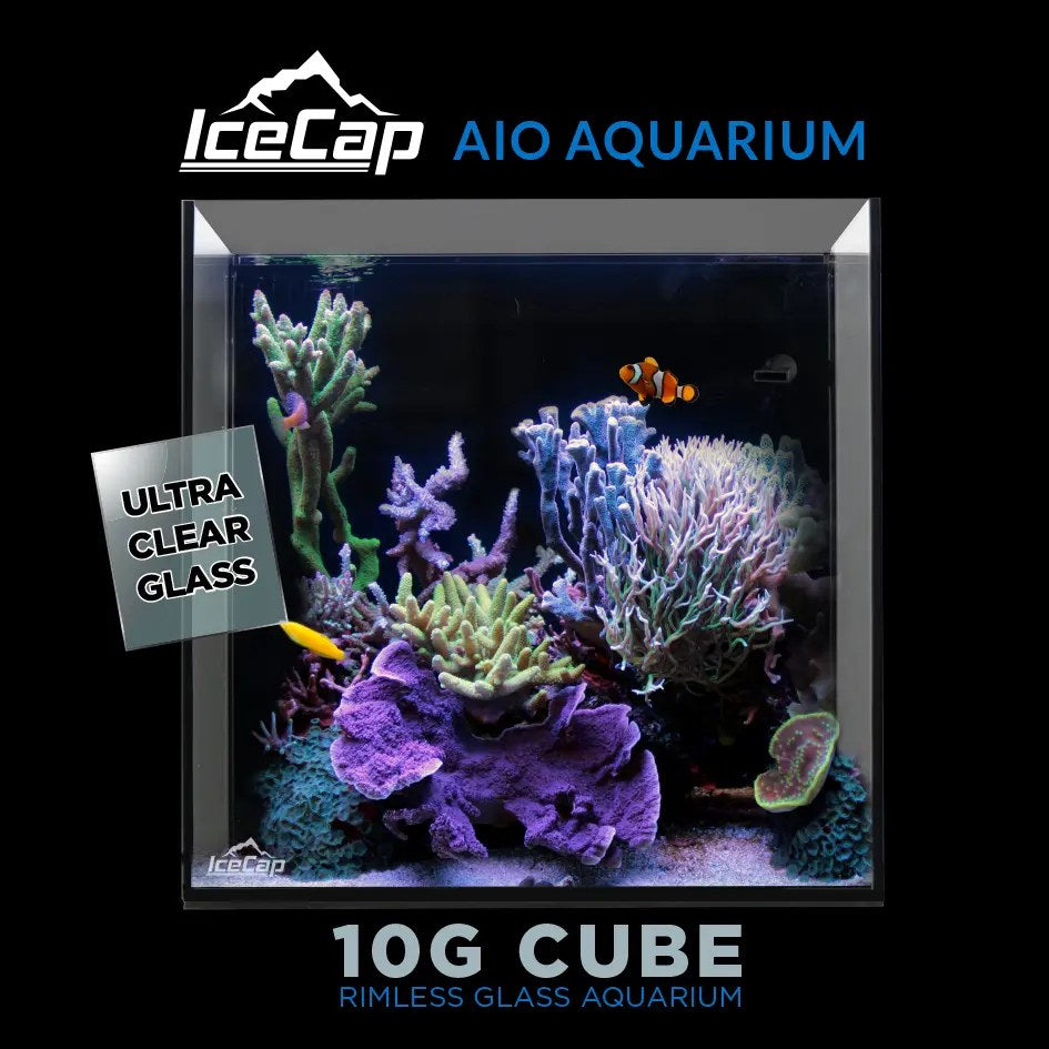 IceCap All-In-One Cube Aquarium, 10-Gallon