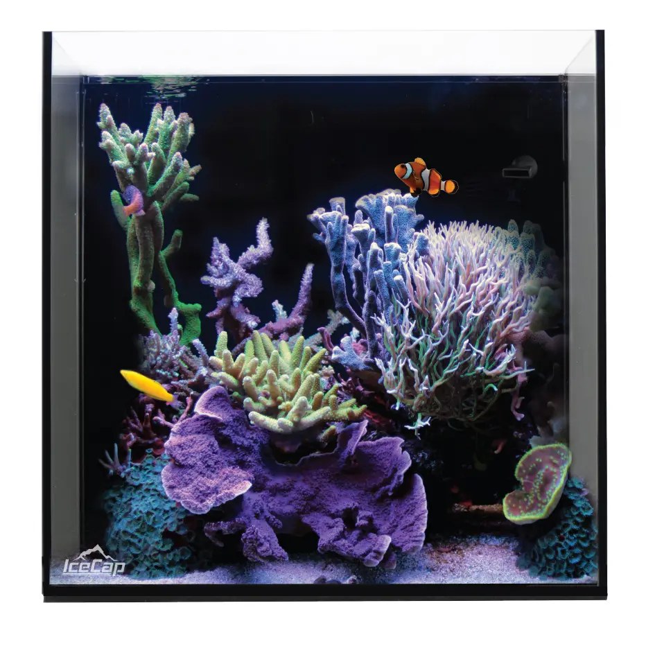 IceCap All-In-One Cube Aquarium, 20-Gallon