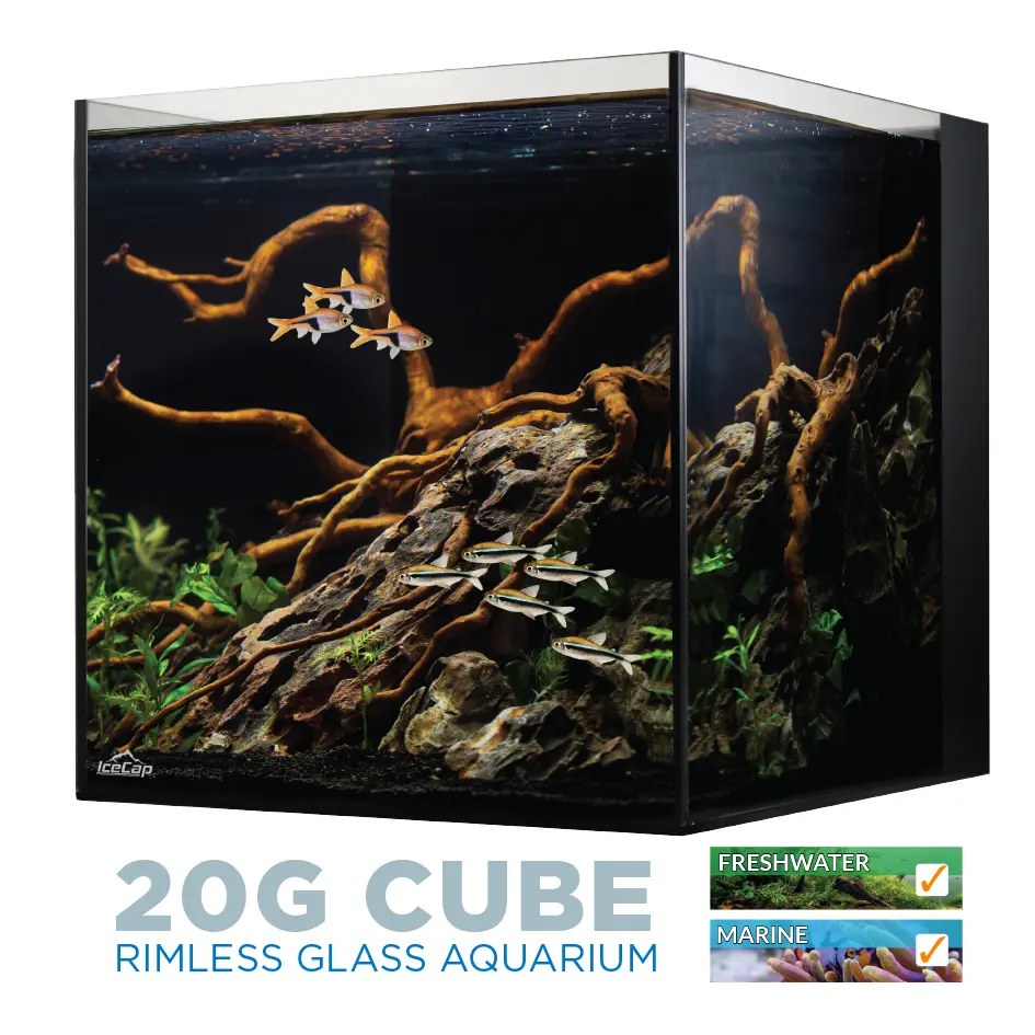 IceCap All-In-One Cube Aquarium, 20-Gallon