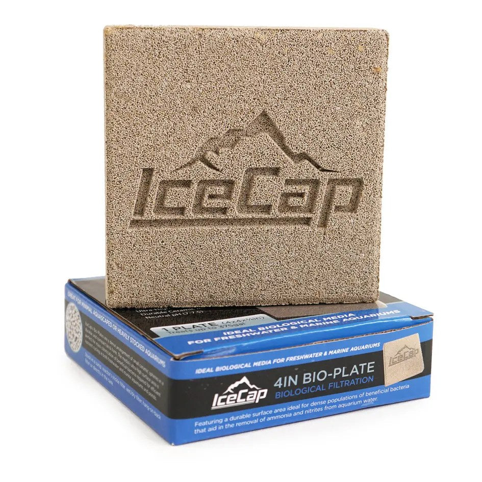 IceCap Bio-Plate, 4in