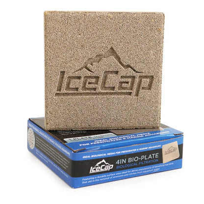 IceCap Bio-Plate, 4in