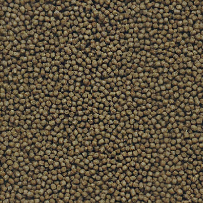 Dymax Colour Plus Pellet Fish Food, 160 g